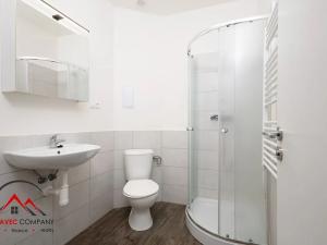 Pronájem bytu 1+kk, Ostrava, Palackého, 30 m2