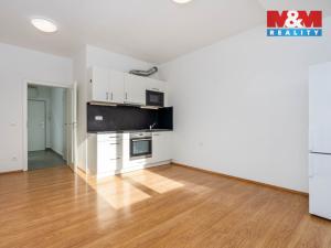 Pronájem bytu 1+kk, Praha - Holešovice, V závětří, 27 m2