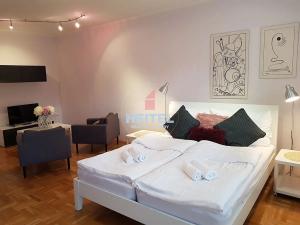 Pronájem bytu 2+kk, Olomouc, Hanáckého pluku, 55 m2