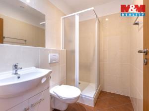 Prodej rodinného domu, Karlovy Vary - Drahovice, Stará Kysibelská, 310 m2