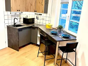 Pronájem bytu 1+kk, Praha - Hostivař, Dolnoměcholupská, 24 m2