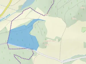 Prodej lesa, Volenice, 84000 m2