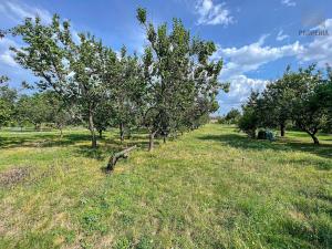 Prodej rodinného domu, Ořechov, Komenského, 349 m2