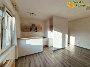 Pronájem bytu 1+kk, Ostrava, Krakovská, 22 m2