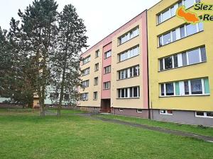 Pronájem bytu 1+1, Paskov, Papírenská, 44 m2