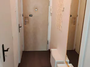Pronájem bytu 1+kk, Praha - Strašnice, Starostrašnická, 20 m2