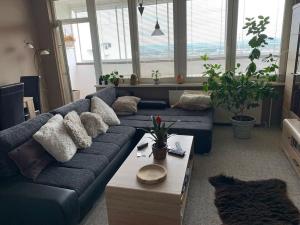 Pronájem bytu 3+1, Chomutov, Březenecká, 74 m2