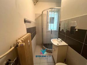 Pronájem bytu 1+1, Teplice, Duchcovská, 34 m2