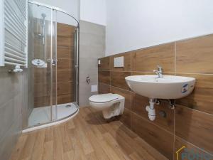 Prodej bytu 1+kk, Choceň, Peliny, 28 m2