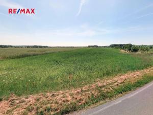 Prodej pozemku pro bydlení, Čestlice, 3953 m2