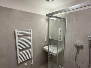 Pronájem bytu 1+kk, Přerov, Čechova, 39 m2