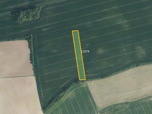 Prodej pole, Čechy, 41619 m2