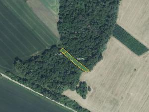 Prodej pole, Moravská Nová Ves, 5711 m2