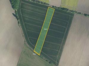 Prodej pole, Uhersko, 11302 m2