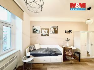 Pronájem bytu 1+kk, Praha - Košíře, U Tyrše, 19 m2