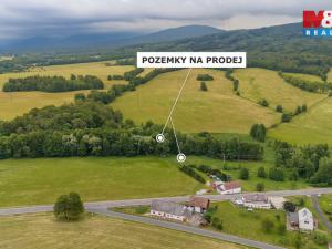 Prodej louky, Dětřichov, 4178 m2