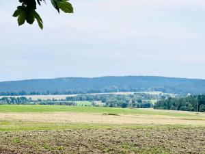 Prodej louky, Herálec, 35197 m2
