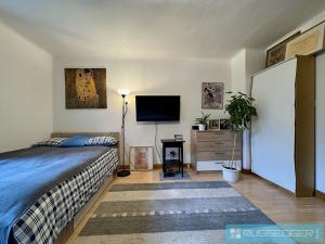 Pronájem bytu 1+kk, Brno, Sýpka, 29 m2