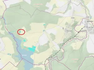 Prodej lesa, Vyskytná nad Jihlavou, 1283 m2