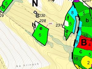 Dražba lesa, Žďárec, 1995 m2