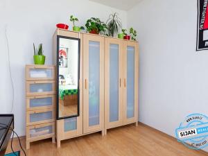 Pronájem bytu 2+1, Vítkov, Budišovská, 48 m2