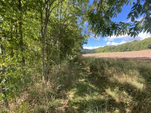 Prodej lesa, Lánov - Horní Lánov, 4009 m2