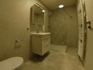 Pronájem bytu 2+kk, Plzeň, Na Jíkalce, 58 m2