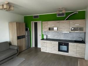 Pronájem bytu 1+kk, Praha - Žižkov, Olšanská, 36 m2