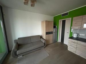 Pronájem bytu 1+kk, Praha - Žižkov, Olšanská, 36 m2
