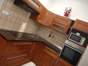 Prodej bytu 1+1, Plzeň, Tělocvičná, 47 m2