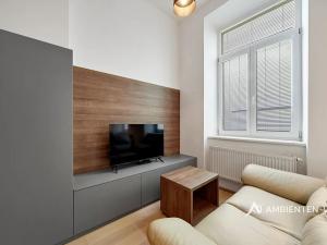 Pronájem bytu 1+kk, Brno, Masarykova, 28 m2