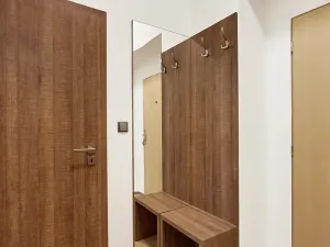 Pronájem bytu 1+kk, Brno, Masarykova, 28 m2