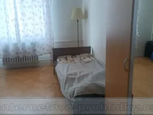 Pronájem pokoje, Praha - Břevnov, Tomanova, 14 m2