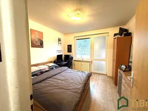 Prodej bytu 2+1, Blansko, Absolonova, 55 m2