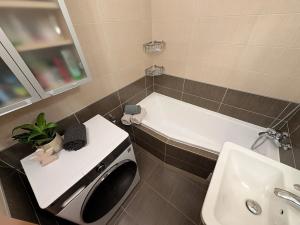 Prodej bytu 3+kk, Mladá Boleslav, U stadionu, 81 m2