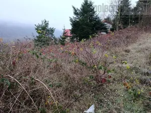 Prodej pozemku pro bydlení, Hradištko, Květná, 1742 m2