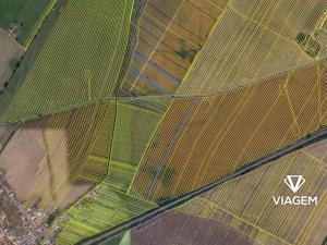 Prodej podílu pole, Moravská Nová Ves, 1175 m2