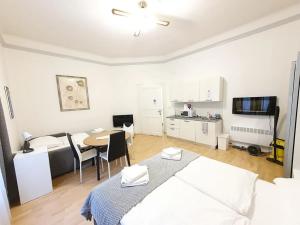 Pronájem bytu 1+kk, Praha, Příčná, 30 m2