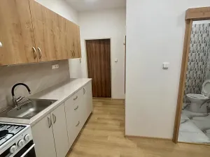 Pronájem bytu 1+1, Prostějov, 35 m2