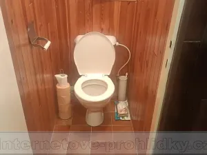 Pronájem pokoje, Praha - Zbraslav, Sulova, 20 m2