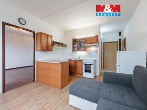 Prodej bytu 1+1, Chodov, Luční, 36 m2