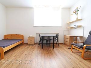 Pronájem bytu 1+kk, Praha - Nusle, Petra Rezka, 32 m2