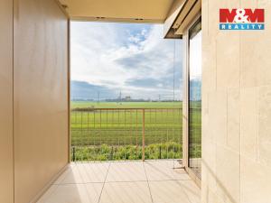 Pronájem bytu 1+kk, Brandýs nad Labem-Stará Boleslav - Brandýs nad Labem, Dřevčická, 38 m2