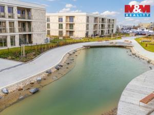 Pronájem bytu 1+kk, Brandýs nad Labem-Stará Boleslav - Brandýs nad Labem, Dřevčická, 38 m2