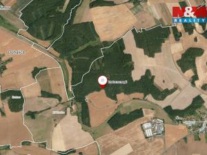 Prodej lesa, Koloveč, 13001 m2