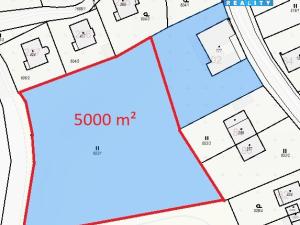 Prodej louky, Žichlínek, 5000 m2