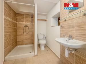 Prodej rodinného domu, Býčkovice, 100 m2