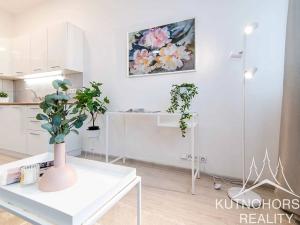 Pronájem bytu 1+kk, Český Brod, Klučovská, 32 m2