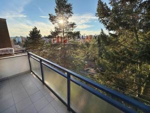 Prodej bytu 3+1, Brno, Kárníkova, 77 m2