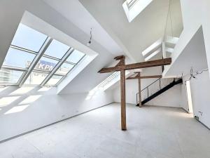 Prodej bytu 4+kk, Praha - Karlín, 163 m2